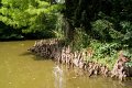 0131Arboretum de Balaine
